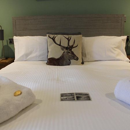 The White Lion Bed & Breakfast Ventnor Eksteriør bilde