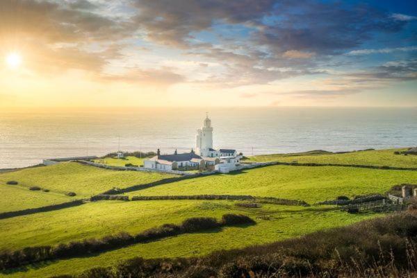 The White Lion Bed & Breakfast Ventnor Eksteriør bilde